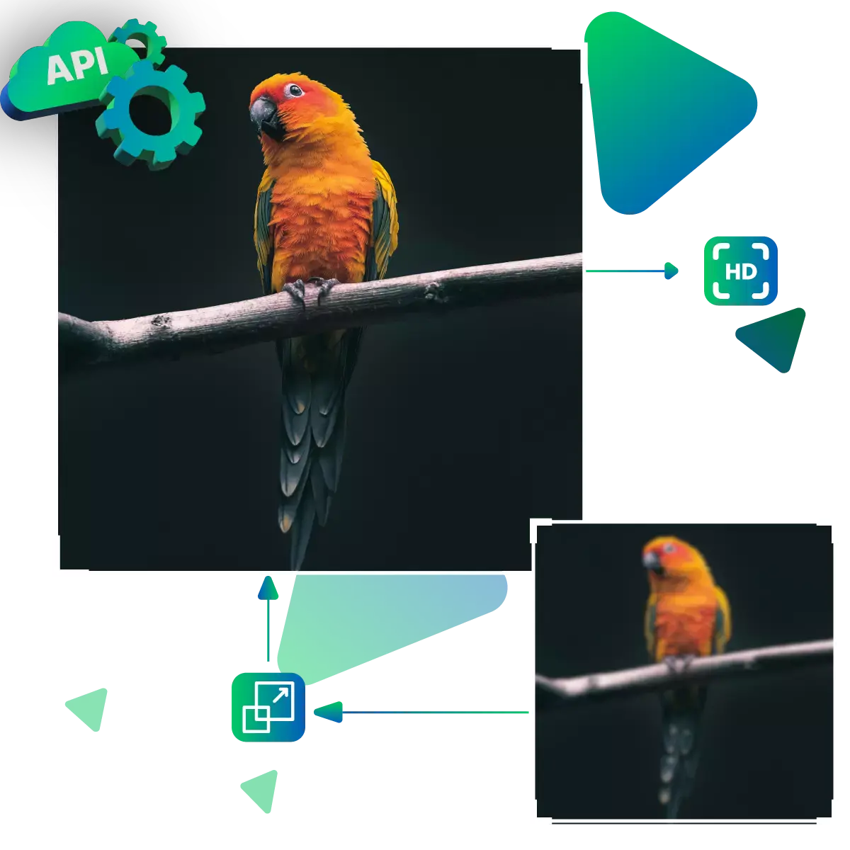 increase-resolution-of-image-online-free-instant